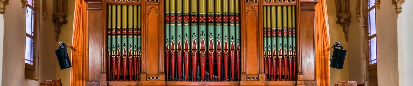 High Praise For Alcons in Portland