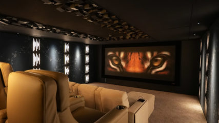 Pulse Cinemas demo room