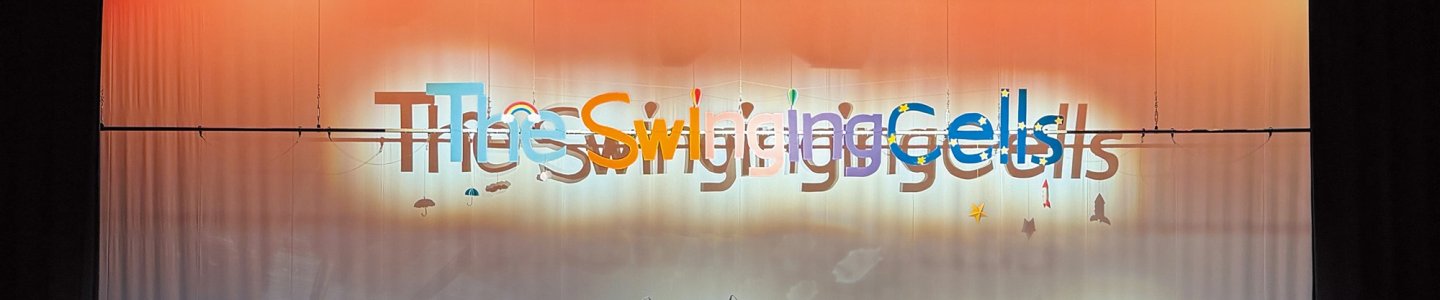 Toshikuni Hashimoto: “Nothing Beats a Live Performance”